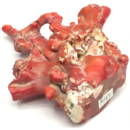 150 - Coral sample with base 470g.