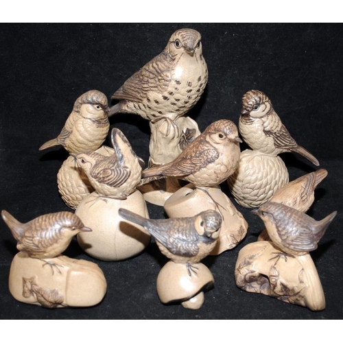 222 - Poole Pottery stoneware birds by Barbara Linley-Adams to include Thrush + others (9)