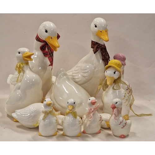 166 - Collection of porcelain Duck family models all signed  to base 