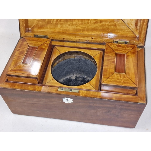 142 - Mahogany Sarcophagus partition Tea Caddy with lidded inside