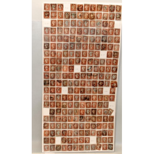 96 - Large sheet containing a quantity of mounted Penny Reds