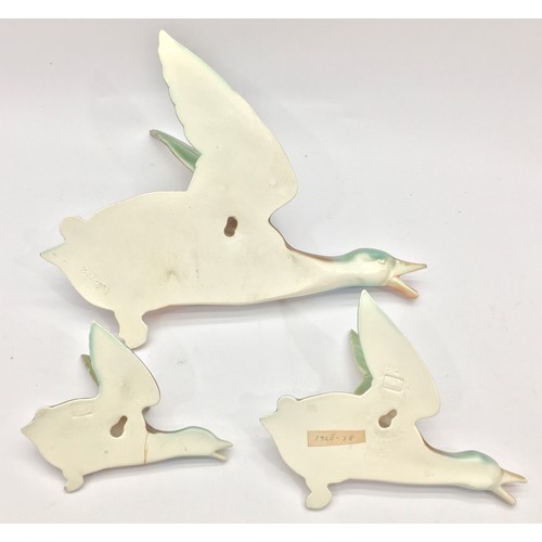 98 - Poole Pottery set of 3 graduated wall hanging ducks designed & modelled by John Adams (1 af)