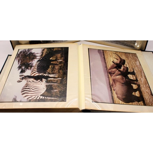 99 - Two albums of vintage photographs: From  the late 1970's and taken whilst on an African safari. Thes... 