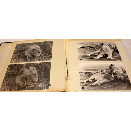 99 - Two albums of vintage photographs: From  the late 1970's and taken whilst on an African safari. Thes... 