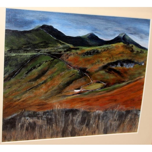 61 - Framed oil on board 'Horseshoe Pass - Wales', indistinct signature to bottom right corner. O/all fra... 