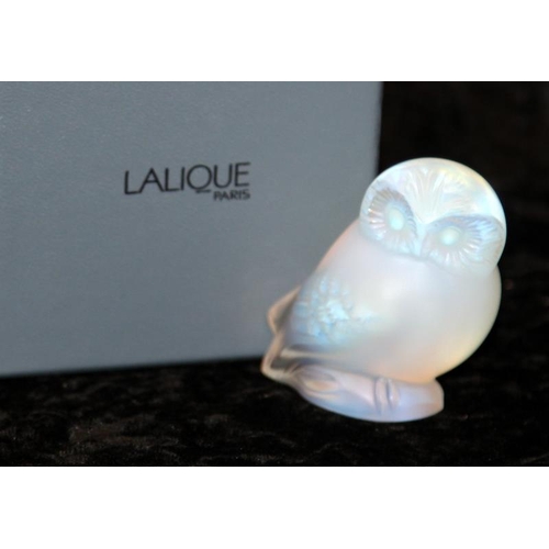 72 - Lalique Nyctal Owl ref:1175900 in frosted glass with signature to base, comes boxed with certificate... 