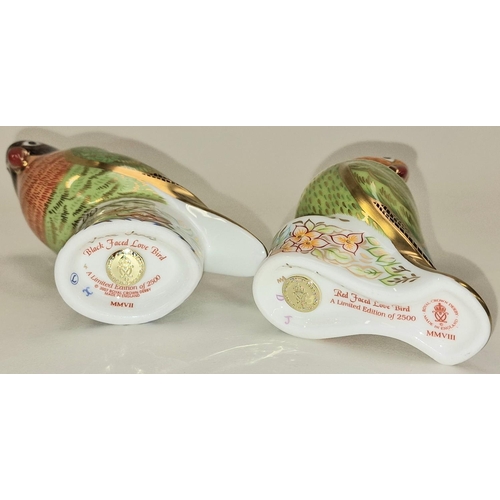 294 - Royal Crown Derby limited edition 223/2500 Red Faced Lovebird paperweight together with 223/2500 Bla... 