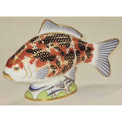 297 - Royal Crown Derby limited edition 0007/2500 Koi Carp paperweight. Gold stopper. Signed to base c/w b... 