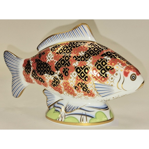 297 - Royal Crown Derby limited edition 0007/2500 Koi Carp paperweight. Gold stopper. Signed to base c/w b... 