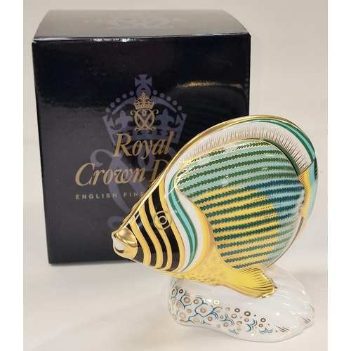 299 - Royal Crown Derby exclusive limited edition 0185/2500 Pinstripe Fish paperweight. Gold stopper. Sign... 