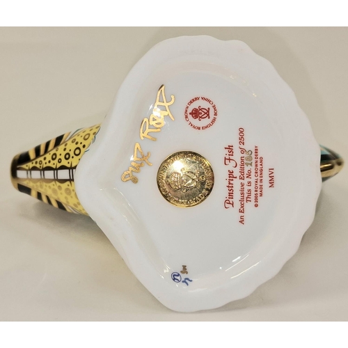 299 - Royal Crown Derby exclusive limited edition 0185/2500 Pinstripe Fish paperweight. Gold stopper. Sign... 