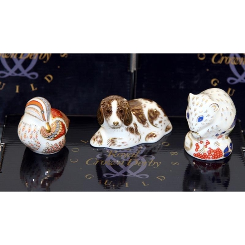 277 - 3 x Royal Crown Derby Imari Paperweights: Dormouse, Scruff and Teal Duckling. All Collectors Guild m... 