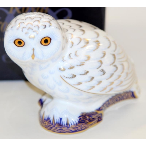 280 - Royal Crown Derby Imari Paperweight: Snowy Owl, Collectors Guild model, gold stopper c/w box.