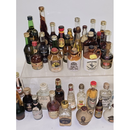 53 - A good collection of mainly vintage alcohol miniatures. Various brands. Approx 60 bottles in all.