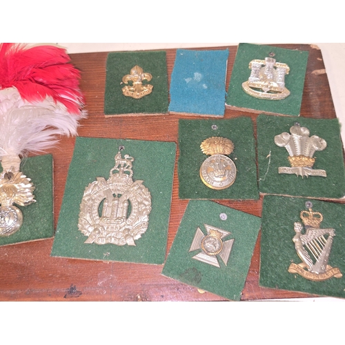 A collection of vintage military regimental badges attached to two boards.