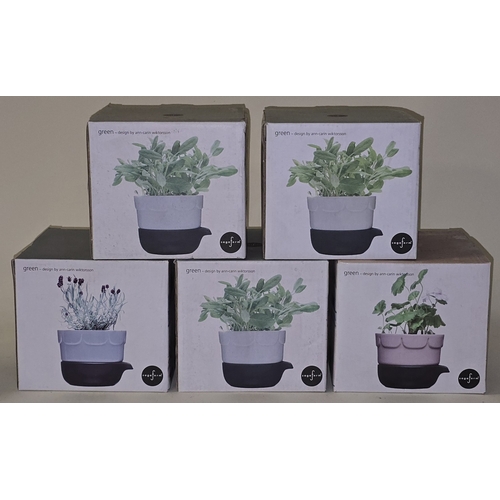 Lot 50        