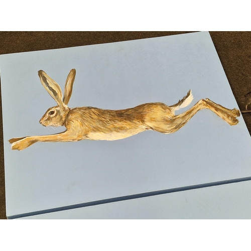 43 - Krysyna Evans: Local artist two contemporary oil on canvas paintings of hares 