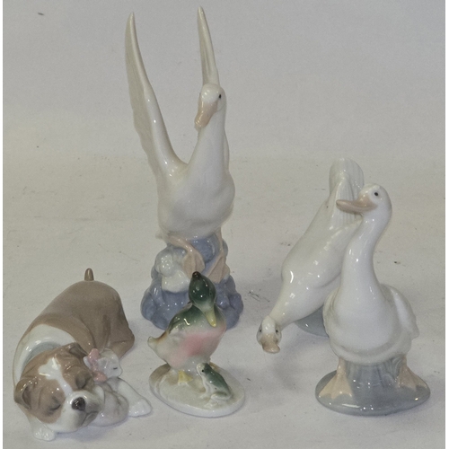 Lot 11        