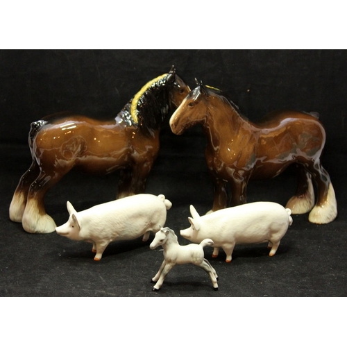 Lot 24        