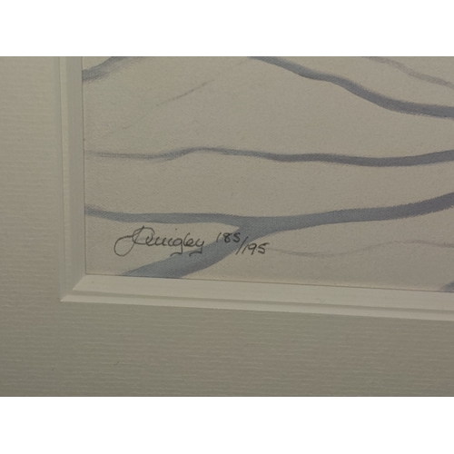 17 - Jo Quigley (1969): Framed and glazed limited edition 185/195 fine print 