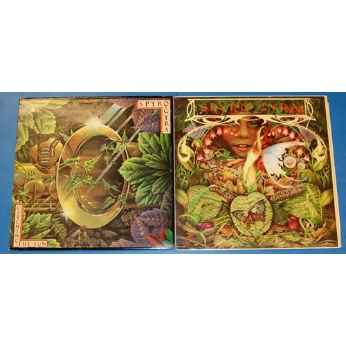 205 - Jazz/fusion rock. A collection of vinyl LP's by acts such as Spyro Gyra, Brand X, Isotope etc