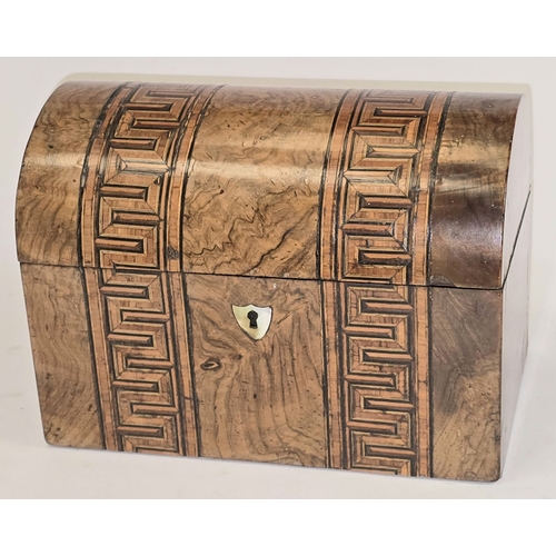 19 - Antique domed top mahogany tea caddy with decorative Tunbridge ware geometric mosaic inlay.