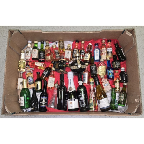 Lot 24        