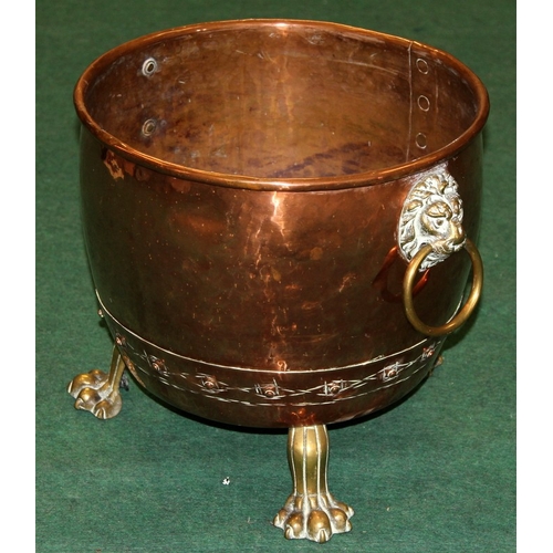 Lot 49        