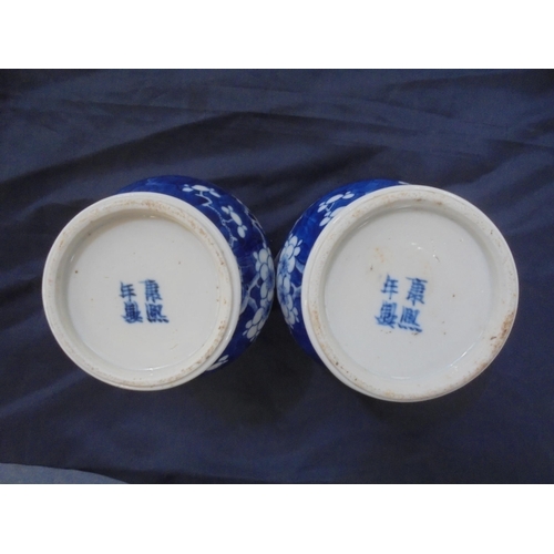 157 - PAIR CHINESE BLUE & WHITE TEMPLE JARS