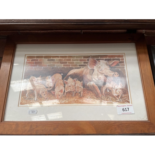 617 - FRAMED PIG PRINTS