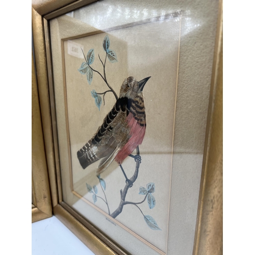 361 - FRAMED FEATHER BIRD PICTURES