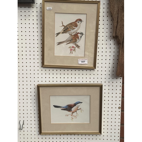 507 - TWO BIRD PICTURES