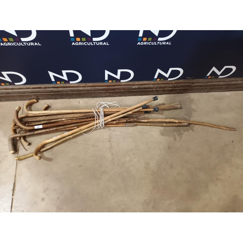 44 - QUANTITY OF WALKING STICKS