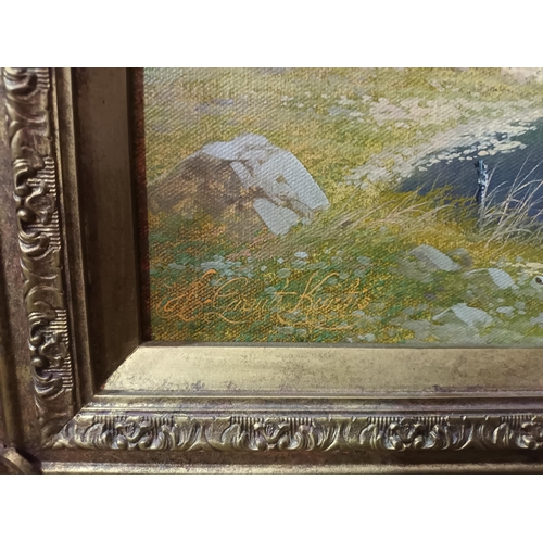 779 - FRAMED OIL PAINTING 24