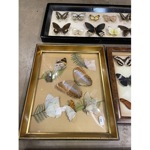 591 - LARGE COLLECTION OF BUTTERFLIES