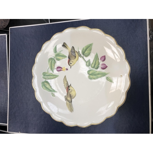 70 - THE BIRDS OF DOROTHY DOUGHERTY DESSERT PLATES ROYAL WORCESTER X3