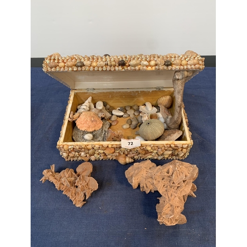 72 - SEASHELL BOX INC SHELLS