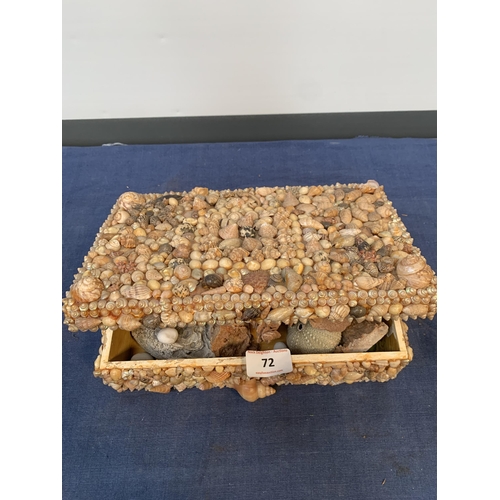 72 - SEASHELL BOX INC SHELLS