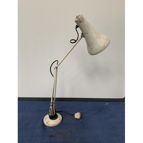 341A - ANGLEPOISE LAMP