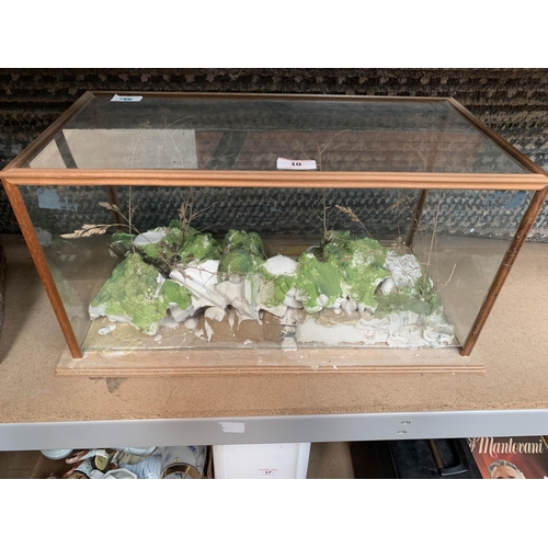 10 - DISPLAY CASE