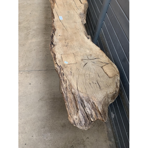 232 - LARGE LIVE EDGE PIG BENCH