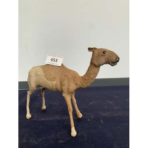 653 - LITTLE CAMEL