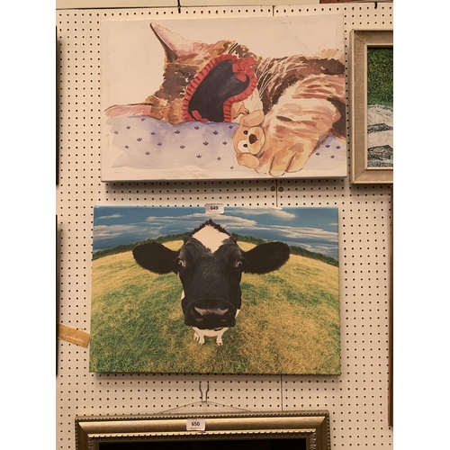 649 - CAT & COW  PICTURES