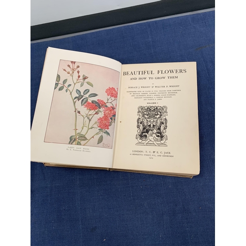 29 - ANTIQUE BOOK OF BEAUTIFUL FLOWERS