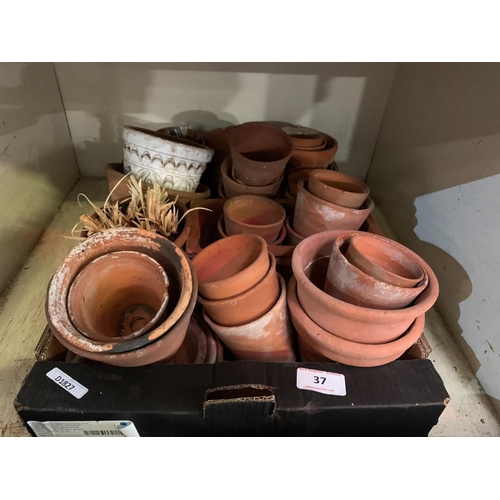 37 - QTY OF TERRACOTTA PLANT POTS