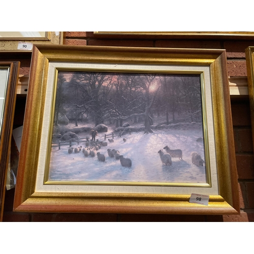 98 - SNOWY SHEEP PICTURE