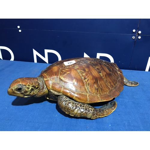 235 - PRE 1946 TAXIDERMY SEA TURTLE