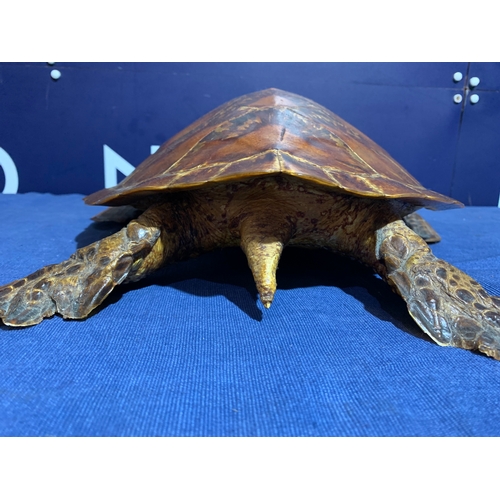 235 - PRE 1946 TAXIDERMY SEA TURTLE