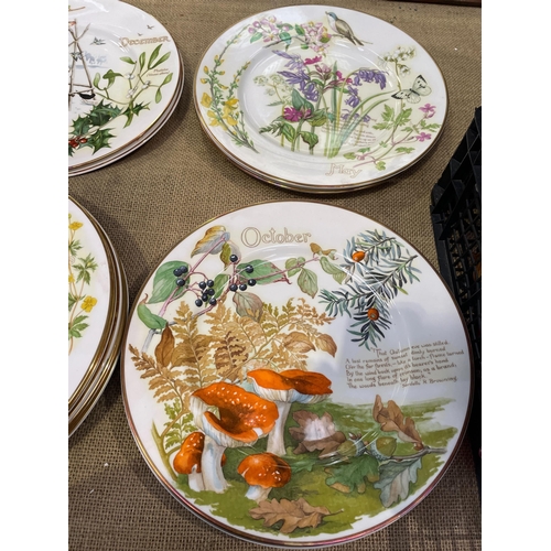 624 - DECORATIVE PLATES