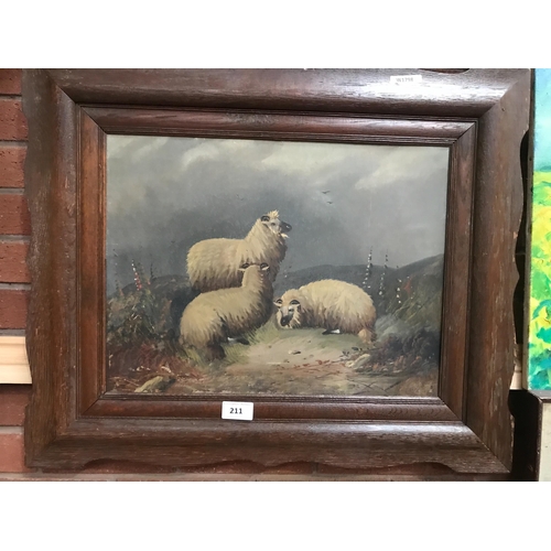 211 - OIL ON CANVAS SHEEP